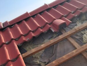 uszkodzenia dachu przez kunę — kopia